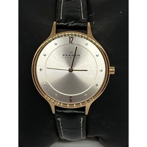 Skagen Anita Lille Women Skagen Anita SKW2151 Women\'s Black Leather Analog Dial Quartz Wrist Watch JK591